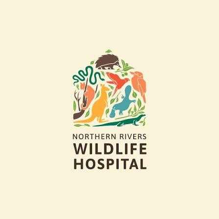 Northern Rivers Wildlife Hospital