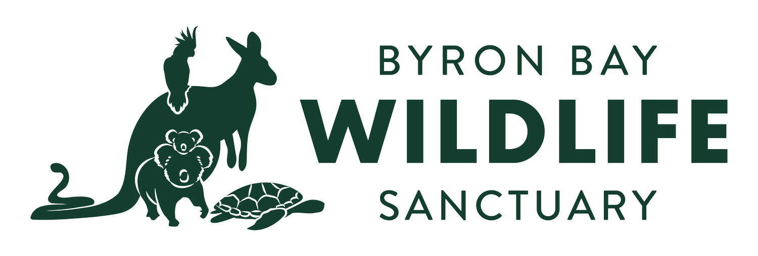 Byron Bay Wildlife Sanctuary